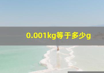 0.001kg等于多少g