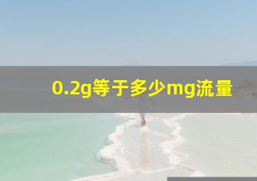 0.2g等于多少mg流量