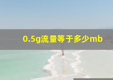 0.5g流量等于多少mb