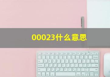 00023什么意思