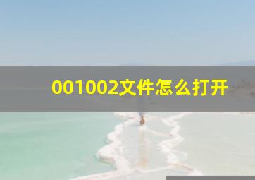 001002文件怎么打开