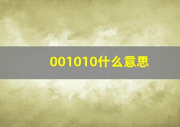 001010什么意思