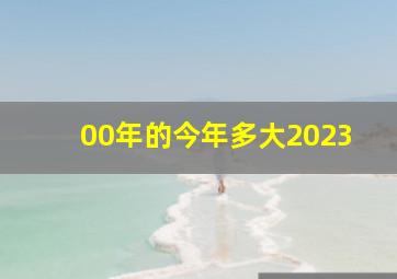 00年的今年多大2023