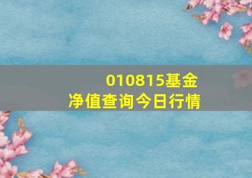 010815基金净值查询今日行情