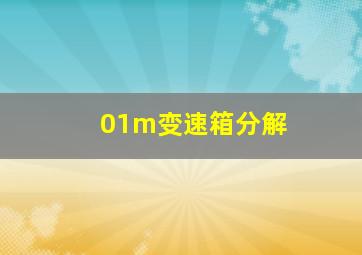 01m变速箱分解