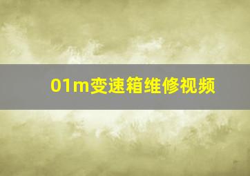 01m变速箱维修视频