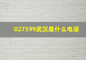 027599武汉是什么电话