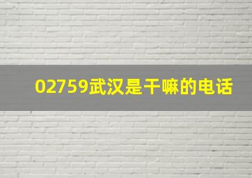 02759武汉是干嘛的电话