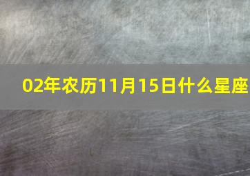 02年农历11月15日什么星座