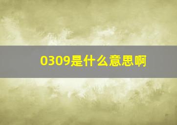 0309是什么意思啊