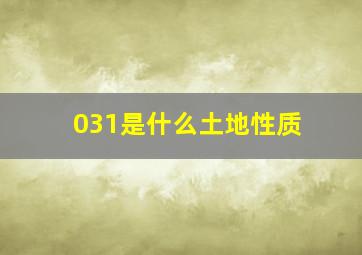 031是什么土地性质