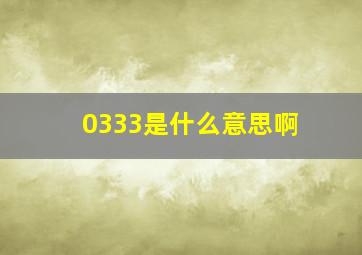 0333是什么意思啊