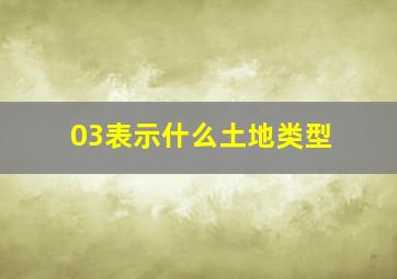 03表示什么土地类型