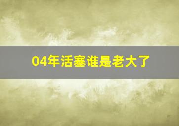 04年活塞谁是老大了