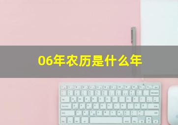 06年农历是什么年