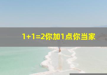 1+1=2你加1点你当家