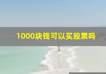 1000块钱可以买股票吗