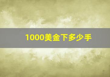 1000美金下多少手