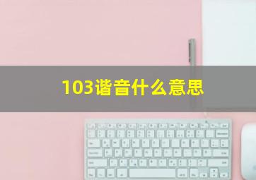 103谐音什么意思