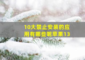 10大禁止安装的应用有哪些呢苹果13