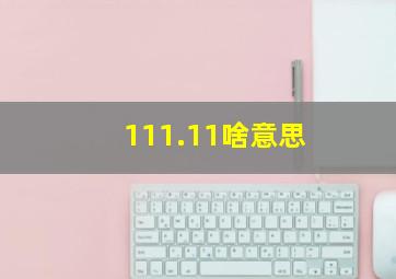 111.11啥意思