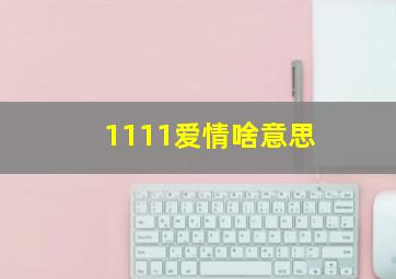 1111爱情啥意思