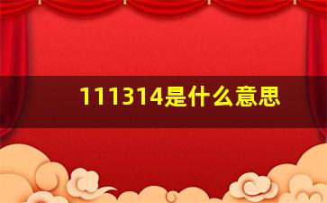 111314是什么意思