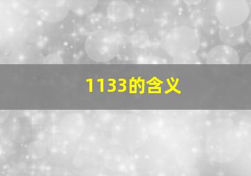 1133的含义