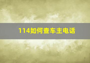 114如何查车主电话