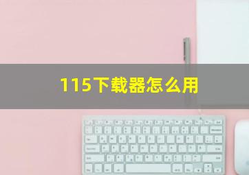 115下载器怎么用