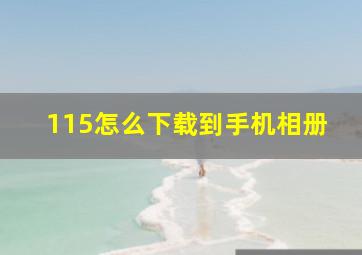 115怎么下载到手机相册