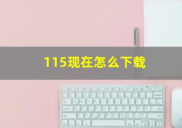 115现在怎么下载