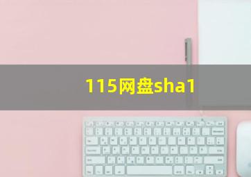 115网盘sha1