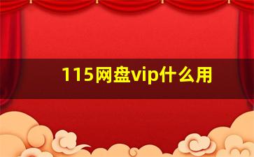 115网盘vip什么用