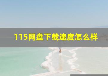 115网盘下载速度怎么样