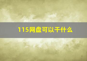 115网盘可以干什么