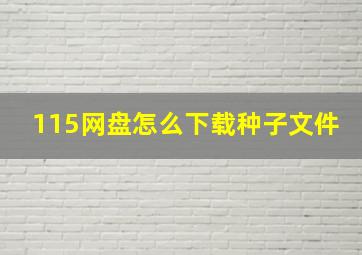 115网盘怎么下载种子文件