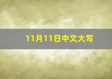 11月11日中文大写