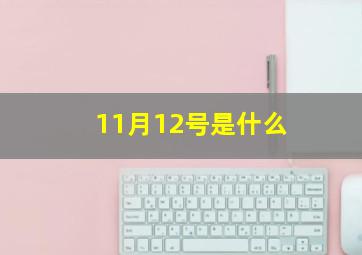 11月12号是什么