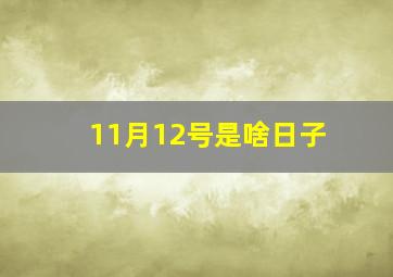 11月12号是啥日子