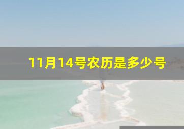 11月14号农历是多少号