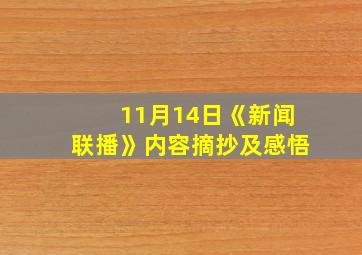 11月14日《新闻联播》内容摘抄及感悟