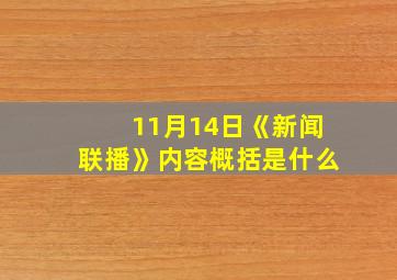 11月14日《新闻联播》内容概括是什么