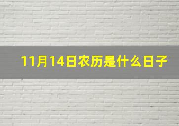 11月14日农历是什么日子