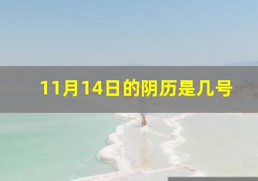 11月14日的阴历是几号