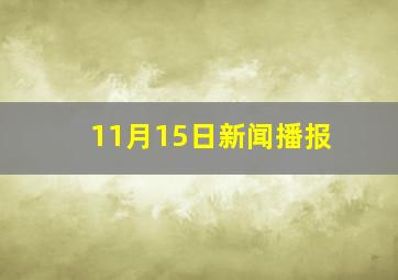 11月15日新闻播报