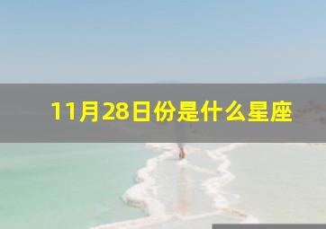 11月28日份是什么星座