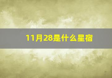 11月28是什么星宿