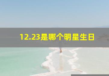 12.23是哪个明星生日