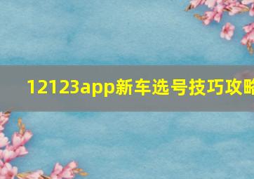 12123app新车选号技巧攻略